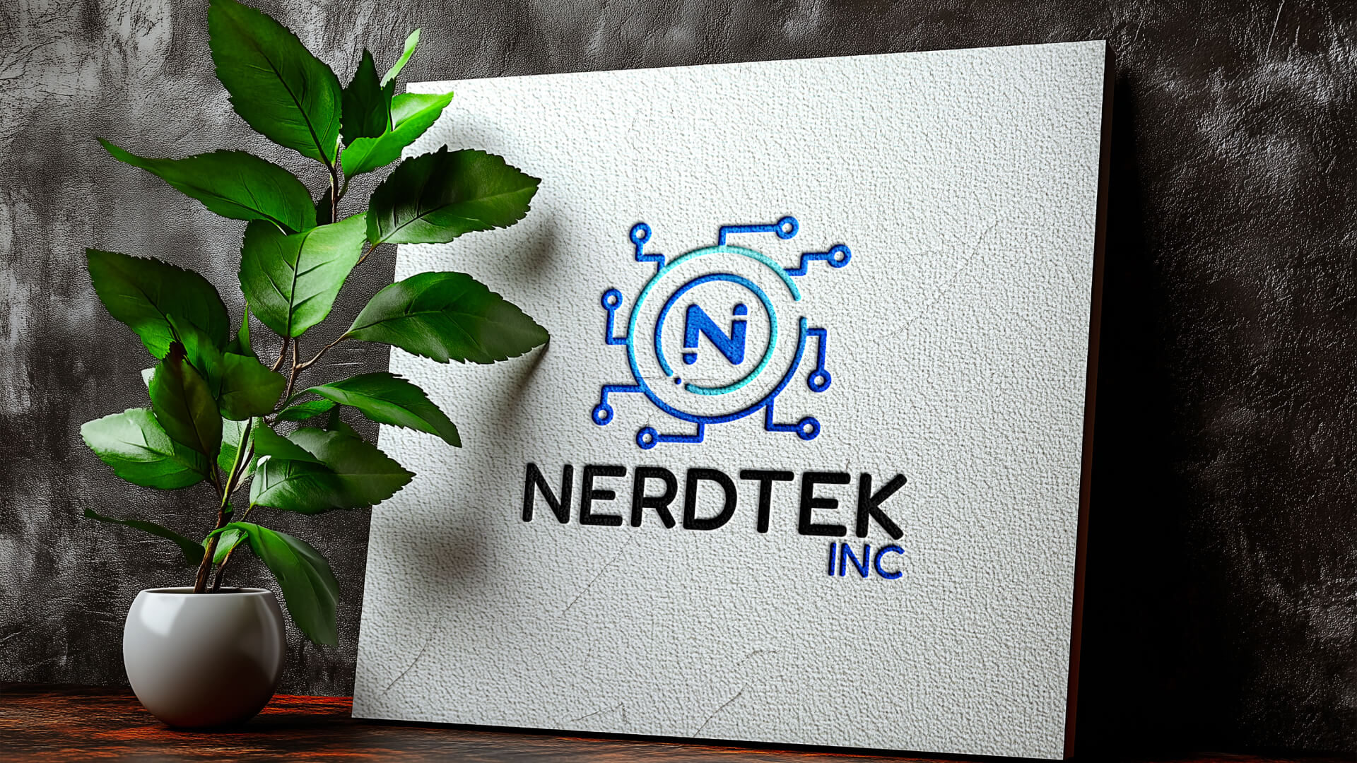 Portfolio Image